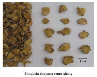 gambar simplisia di halaman detail