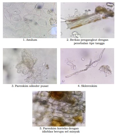 gambar pemerian di halaman detail